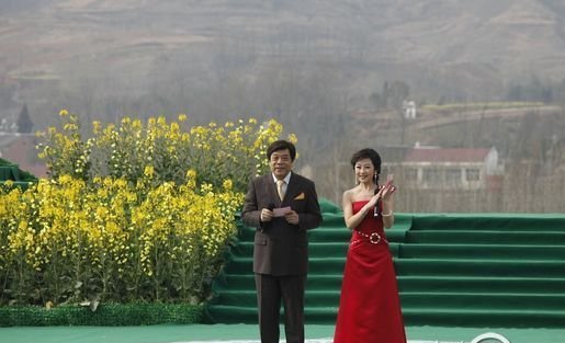 汉中油菜花
